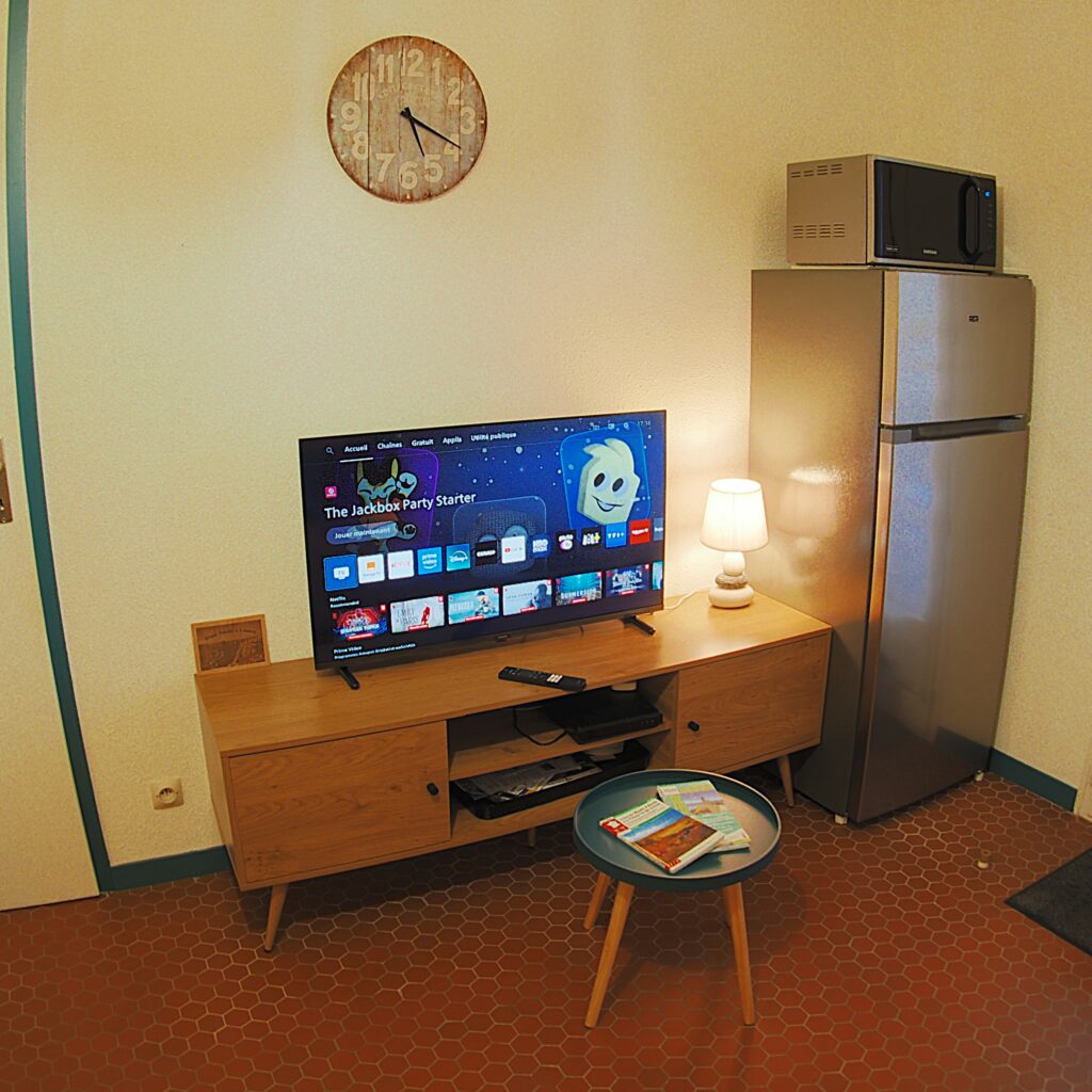 télévision connectée Netflix